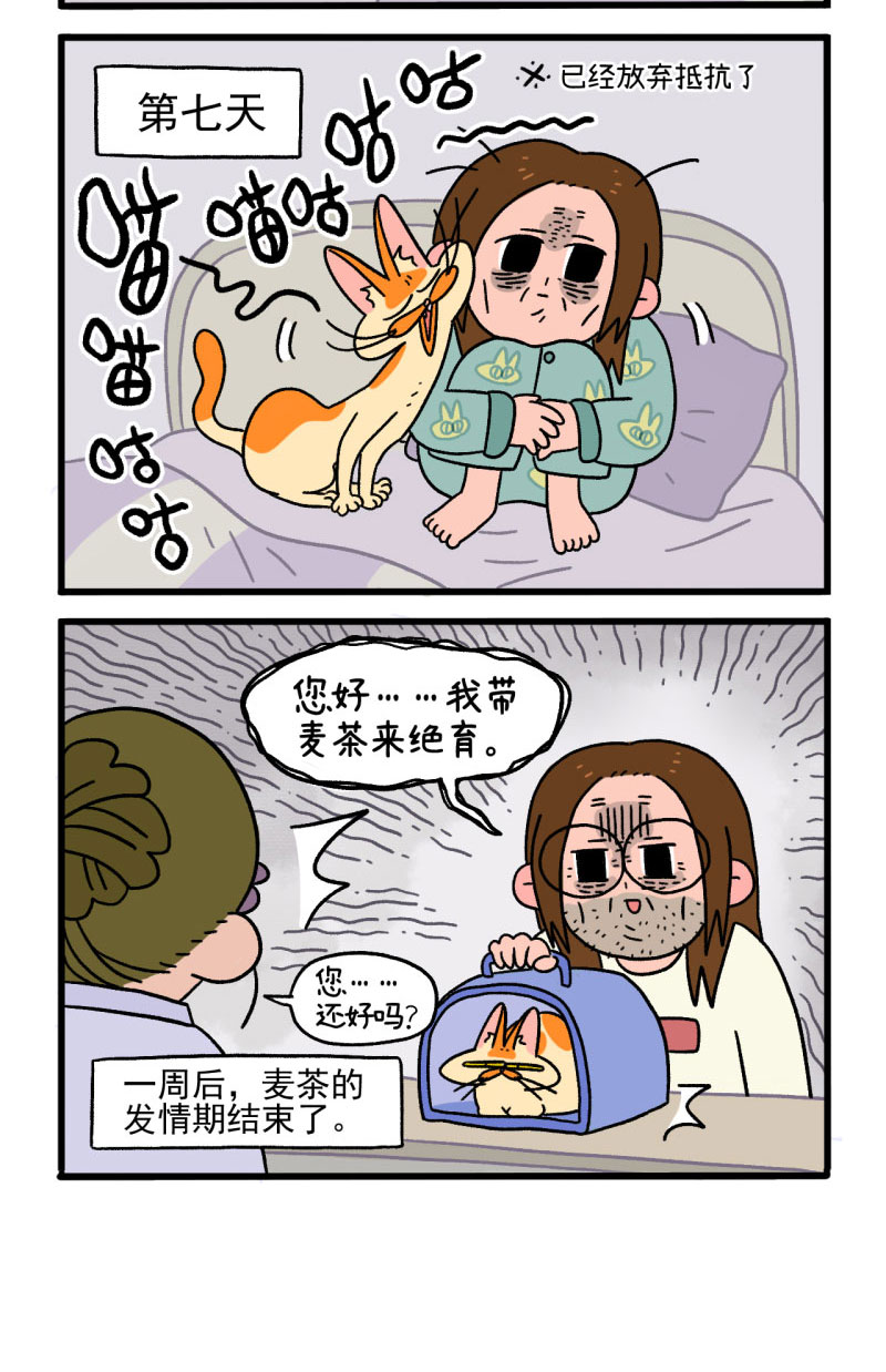 第12话2 夜间噪音-第16话