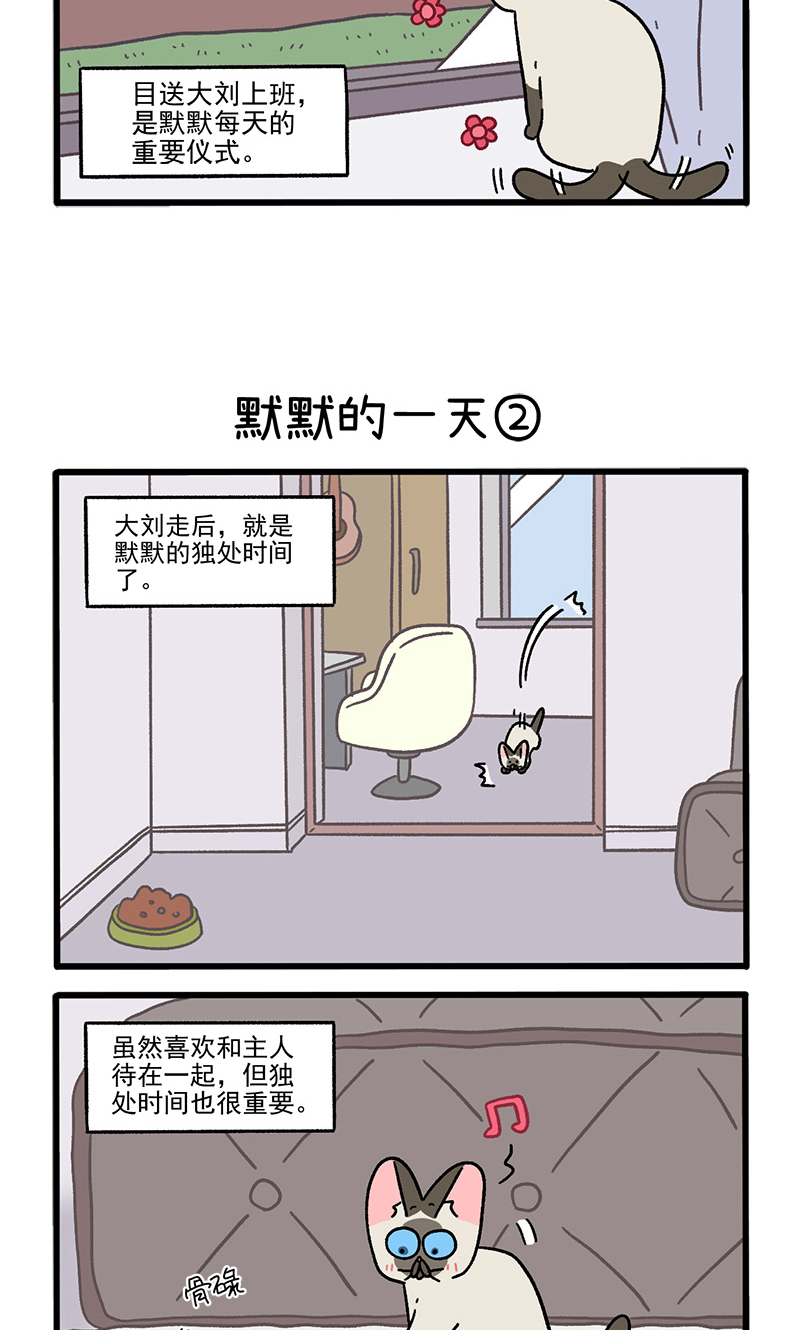 番外17上 默默的一天1-第154话