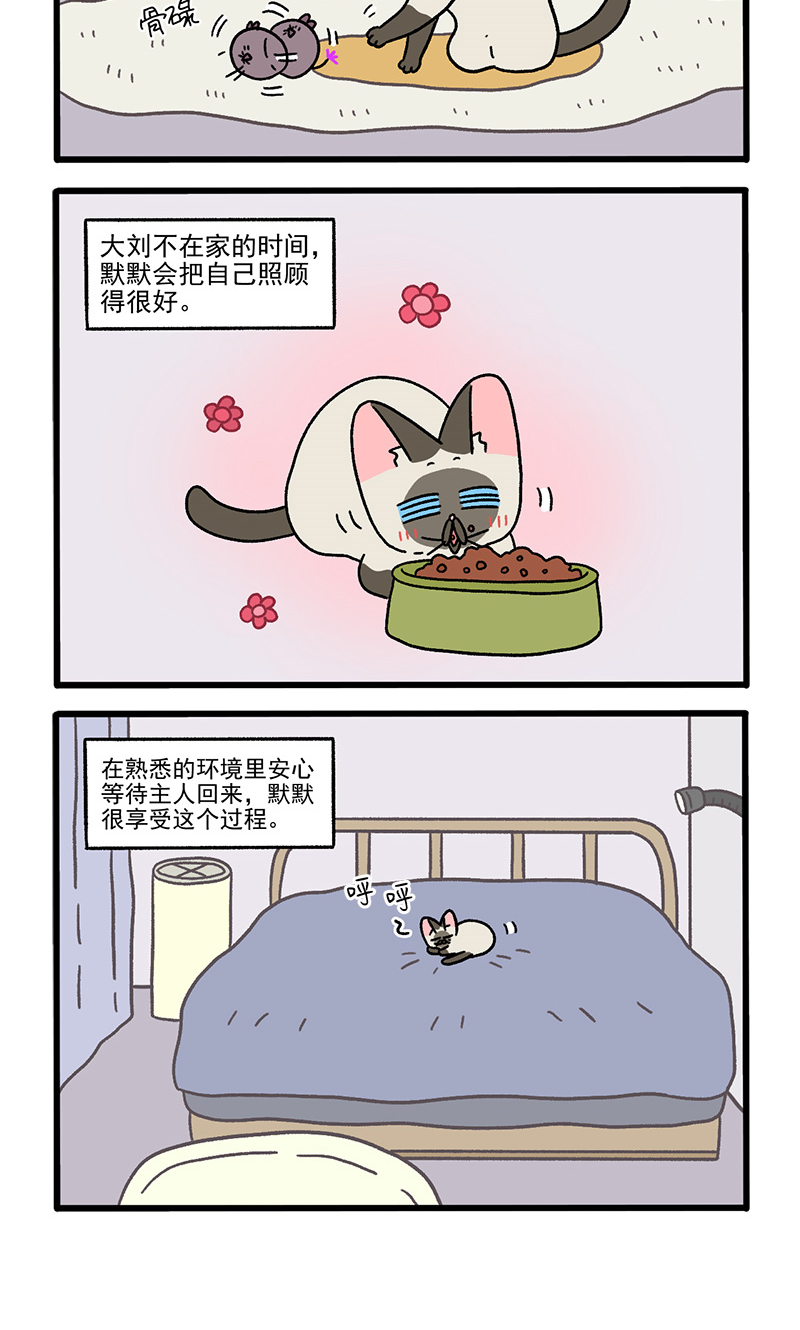 番外17上 默默的一天1-第154话