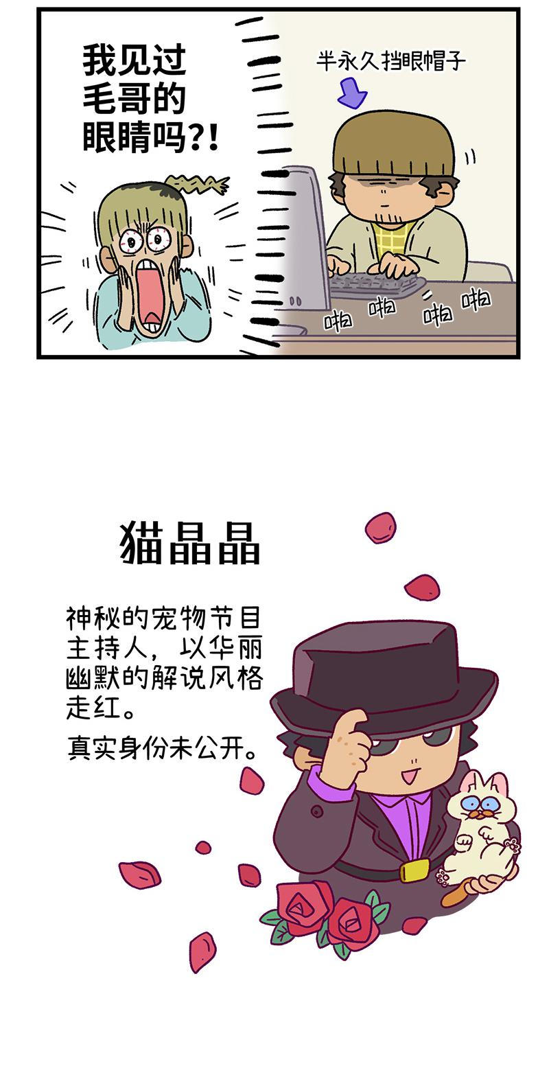 第83话 猫晶晶疑云1-第158话