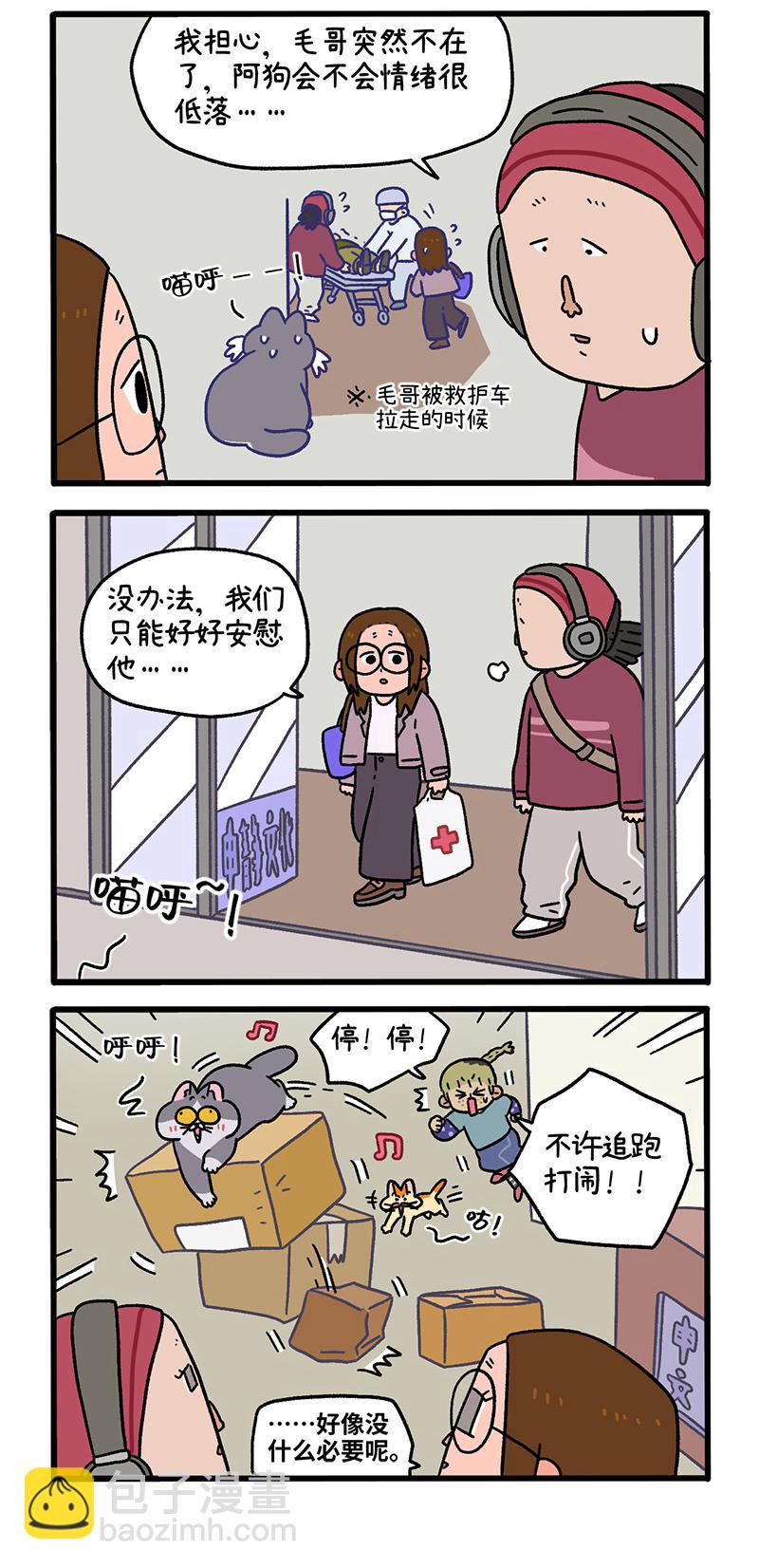 第88话1 阿狗的监护权-第164话