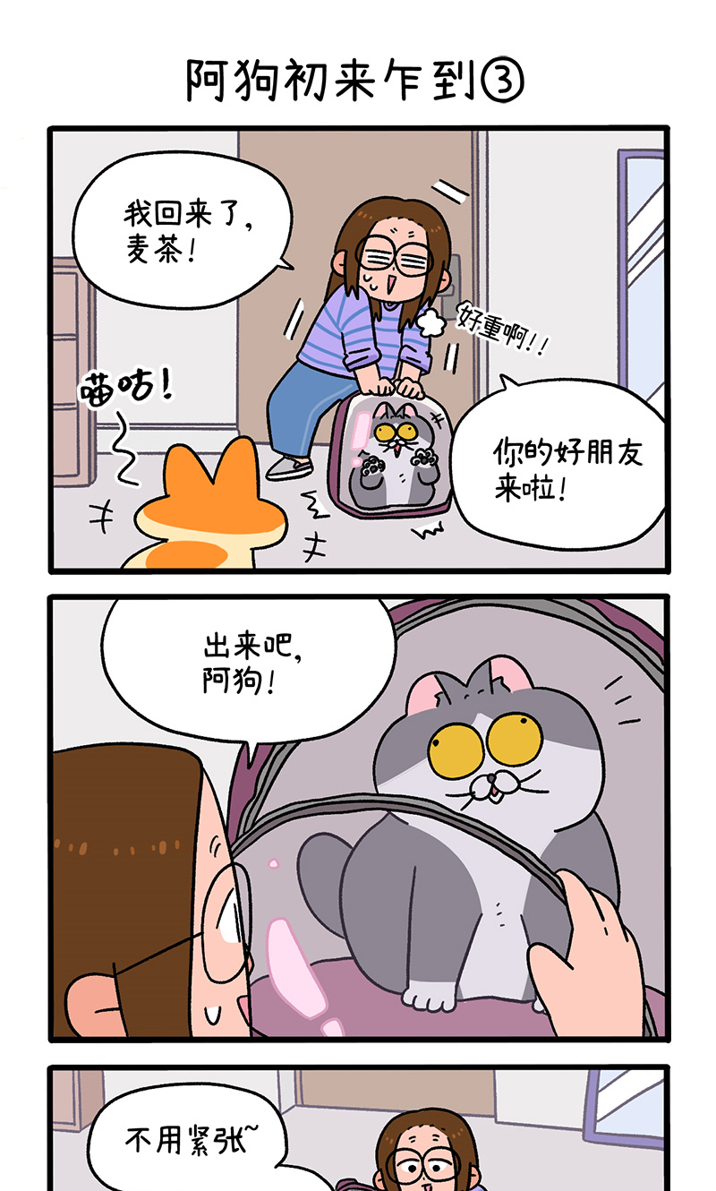 第89话1 阿狗初来乍到-第166话