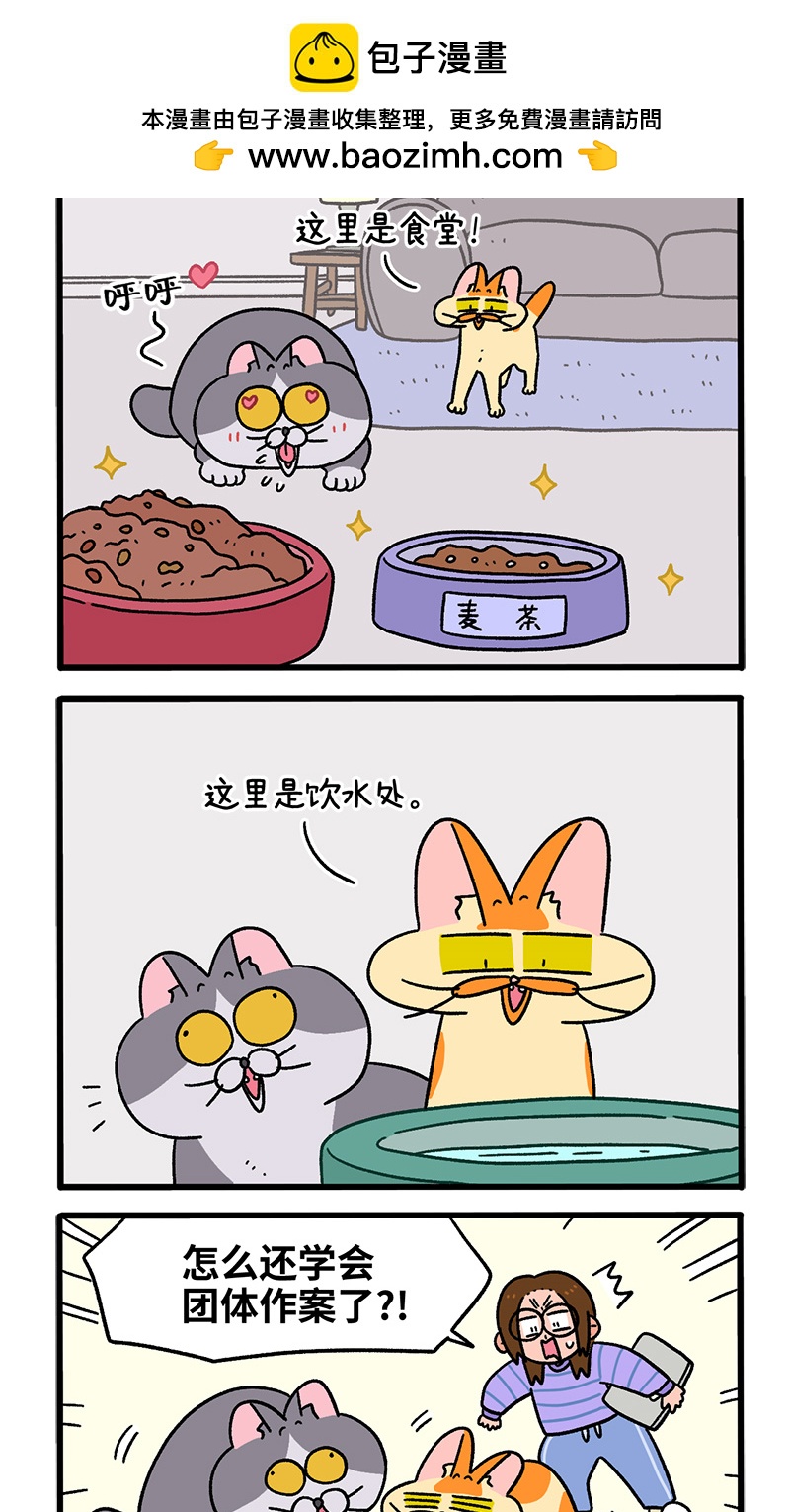 第90话 麦茶待客-第168话
