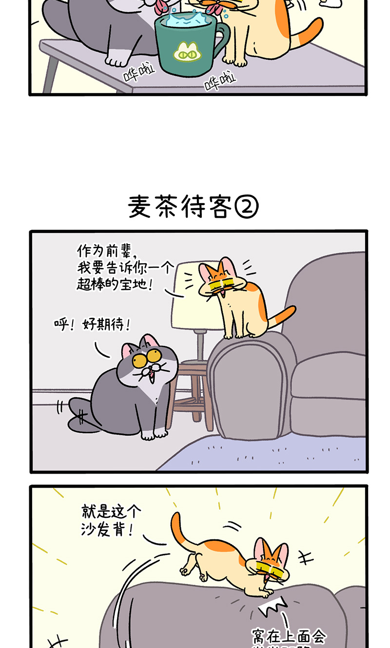 第90话 麦茶待客-第168话