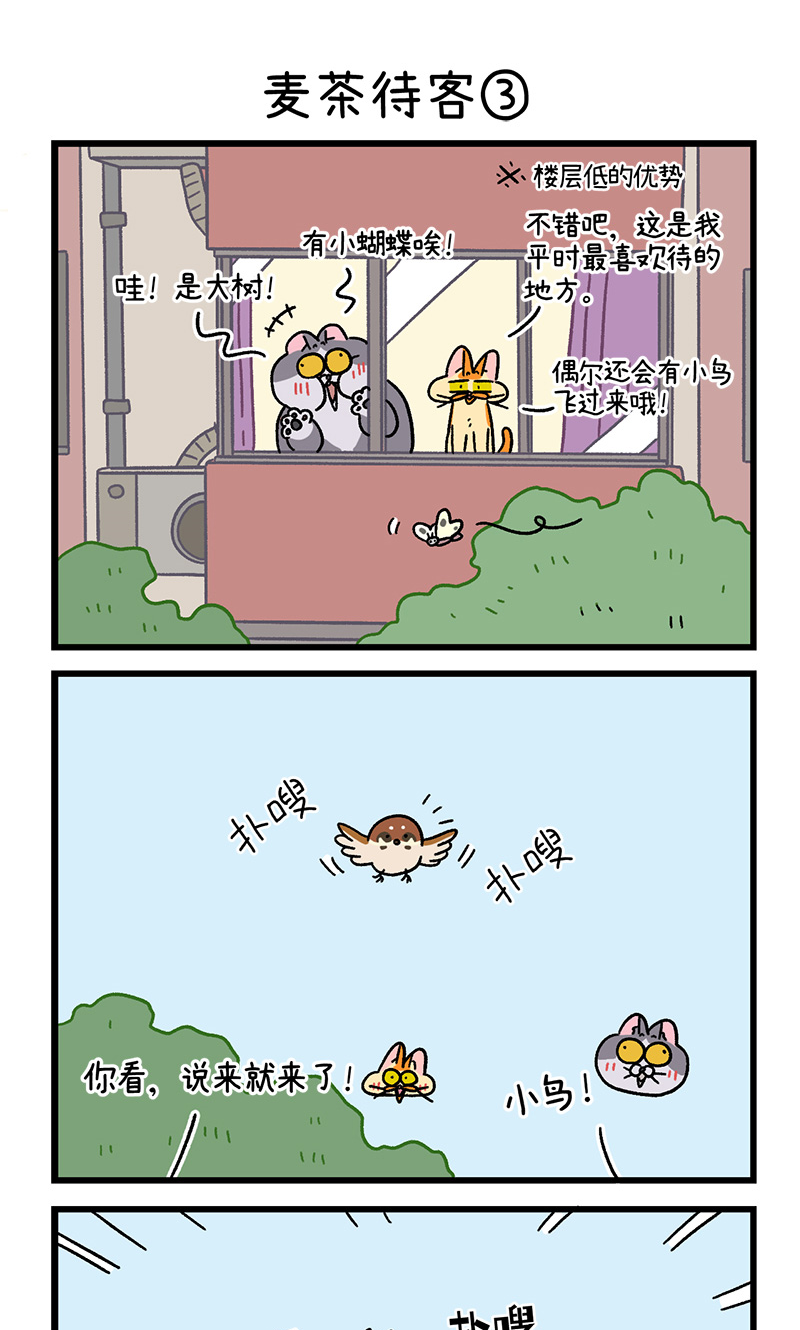 第90话 麦茶待客-第168话