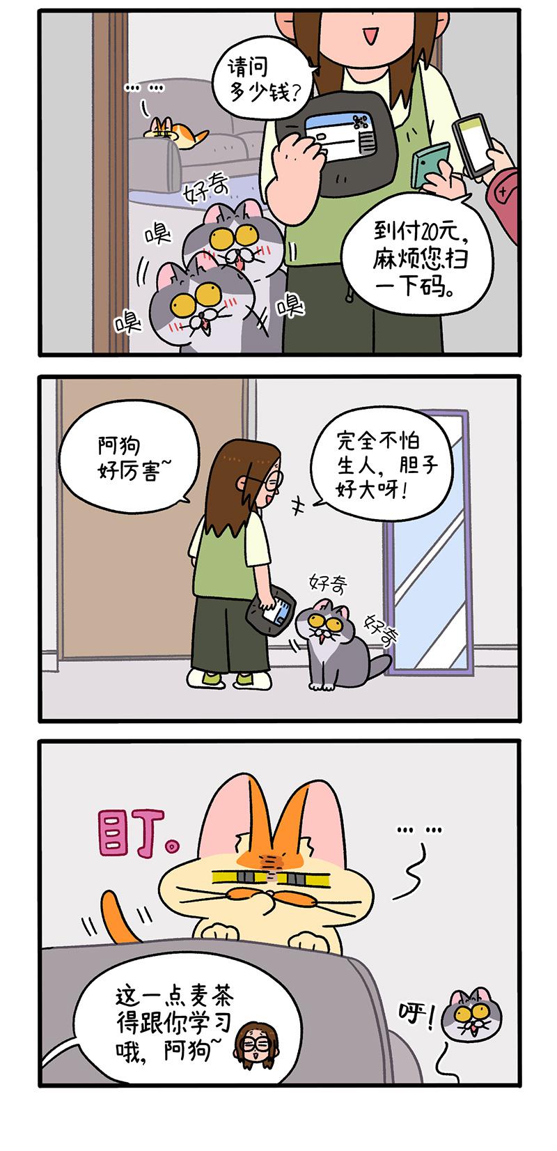 第92话1 偶尔会有小情绪-第170话