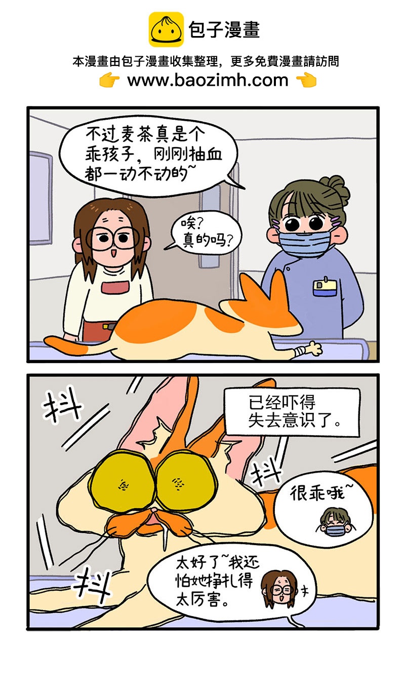 第13话2 要做手术了-第18话