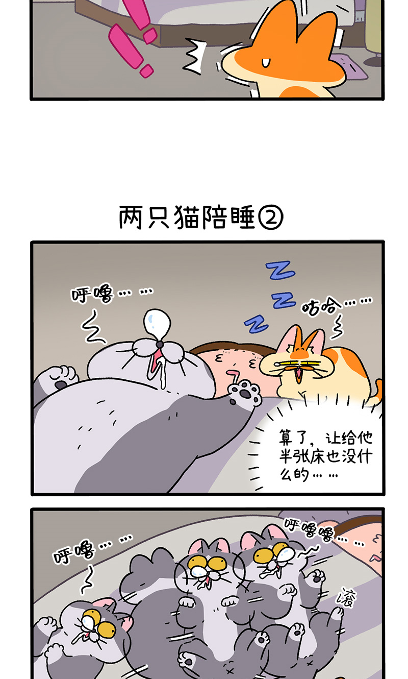 第93话 两只猫陪睡-第172话