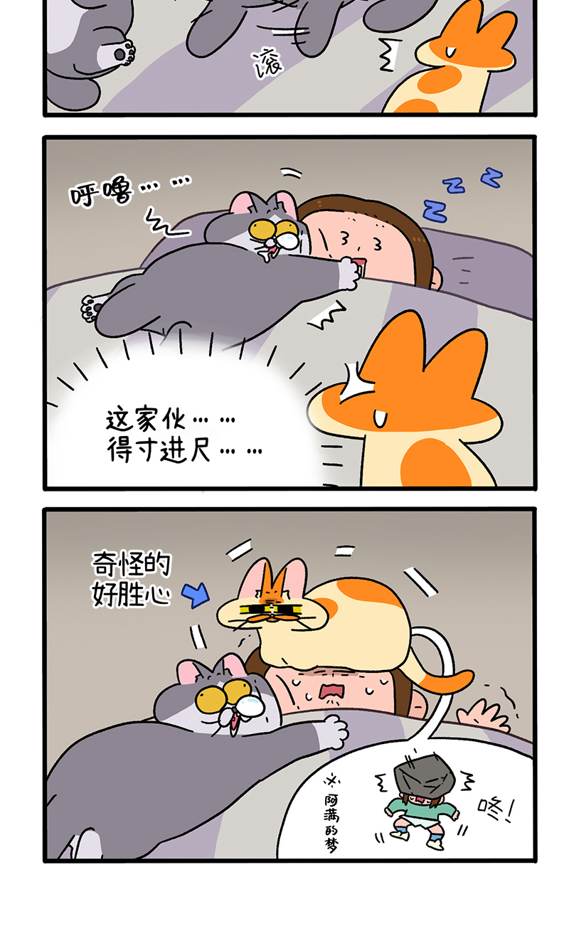 第93话 两只猫陪睡-第172话