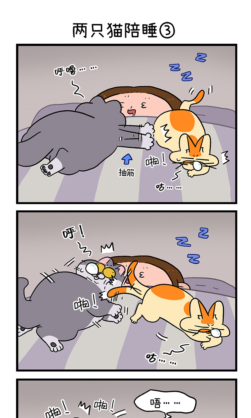第93话 两只猫陪睡-第172话