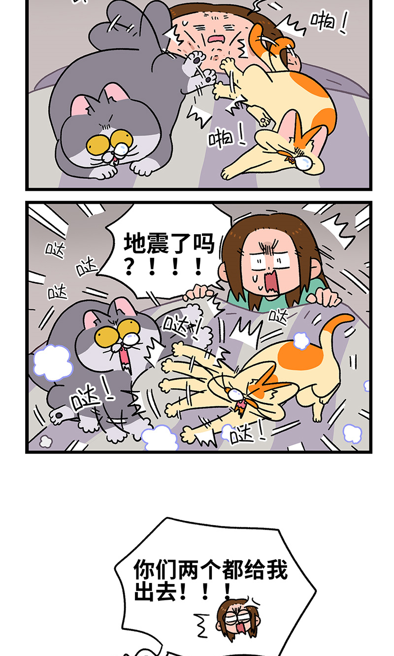 第93话 两只猫陪睡-第172话