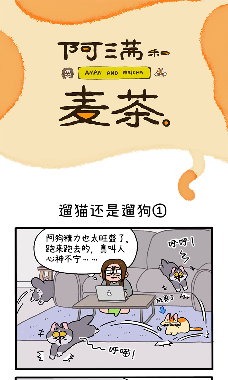 第95话1 遛猫还是遛狗-第176话