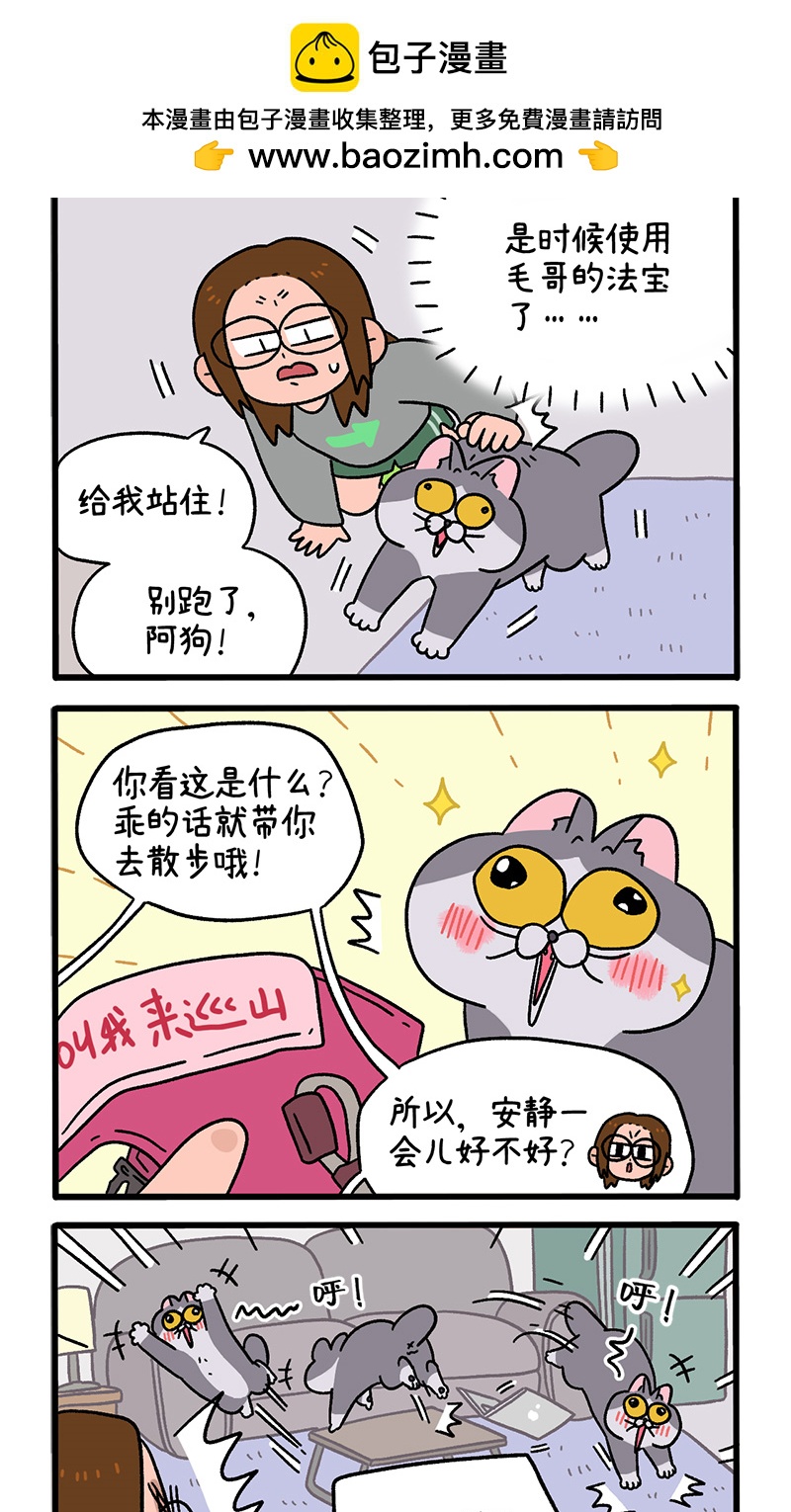 第95话1 遛猫还是遛狗-第176话