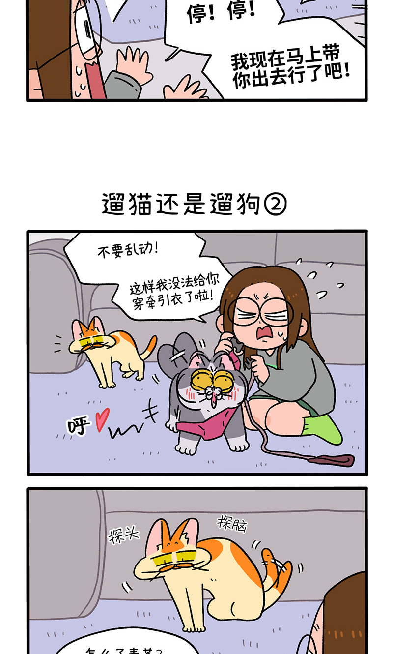 第95话1 遛猫还是遛狗-第176话