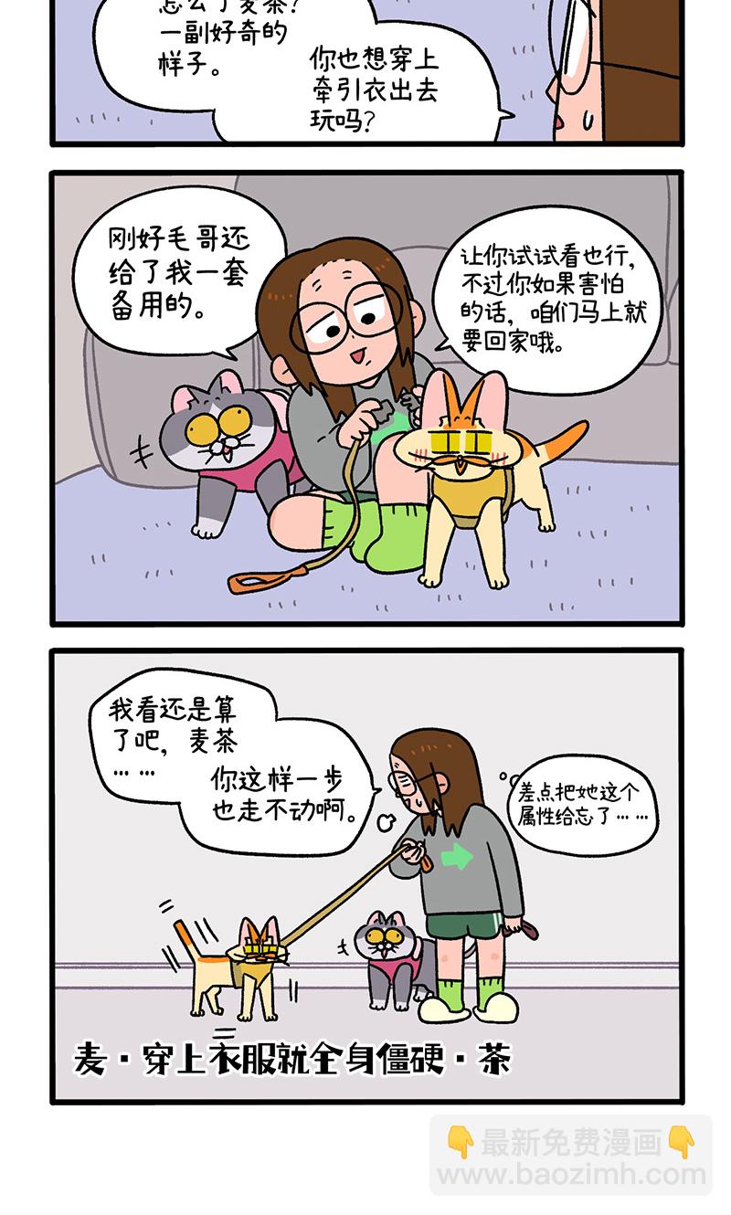 第95话1 遛猫还是遛狗-第176话