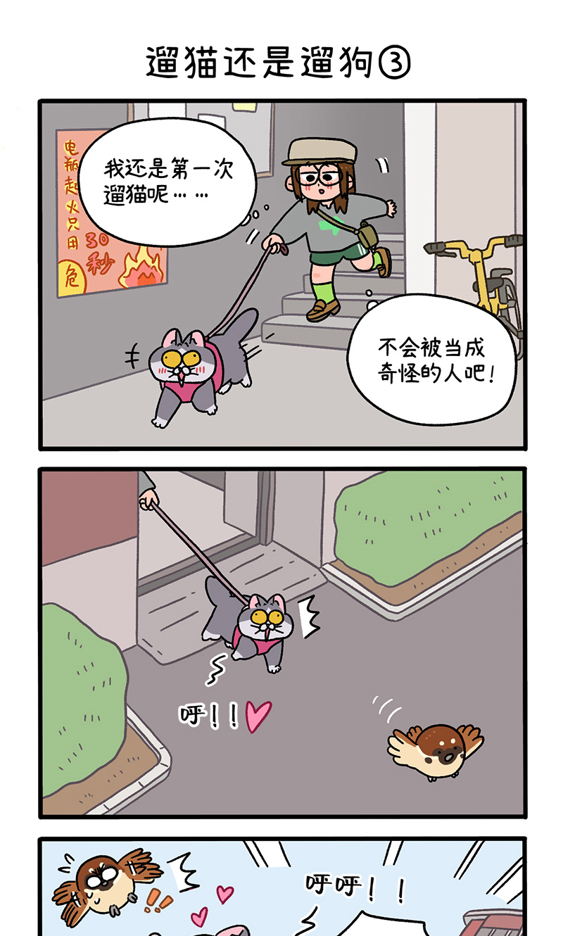 第95话1 遛猫还是遛狗-第176话