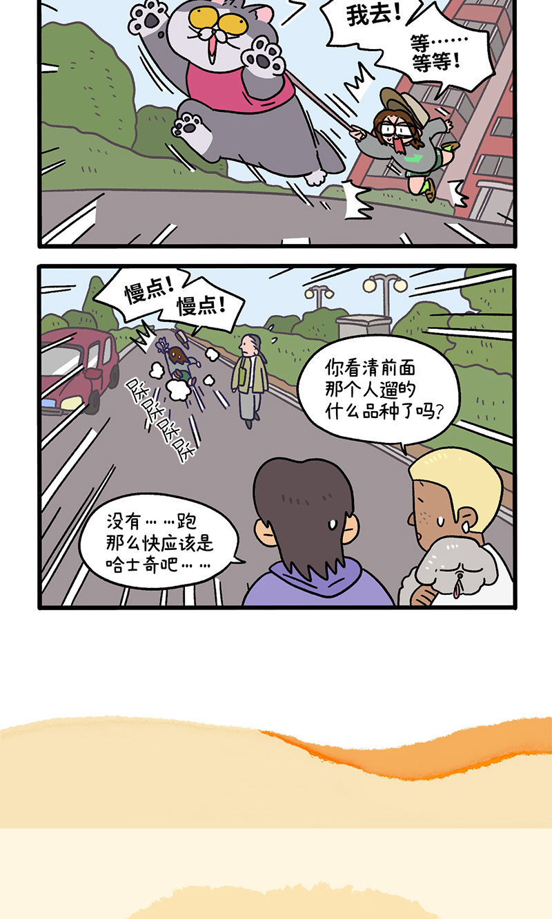 第95话1 遛猫还是遛狗-第176话