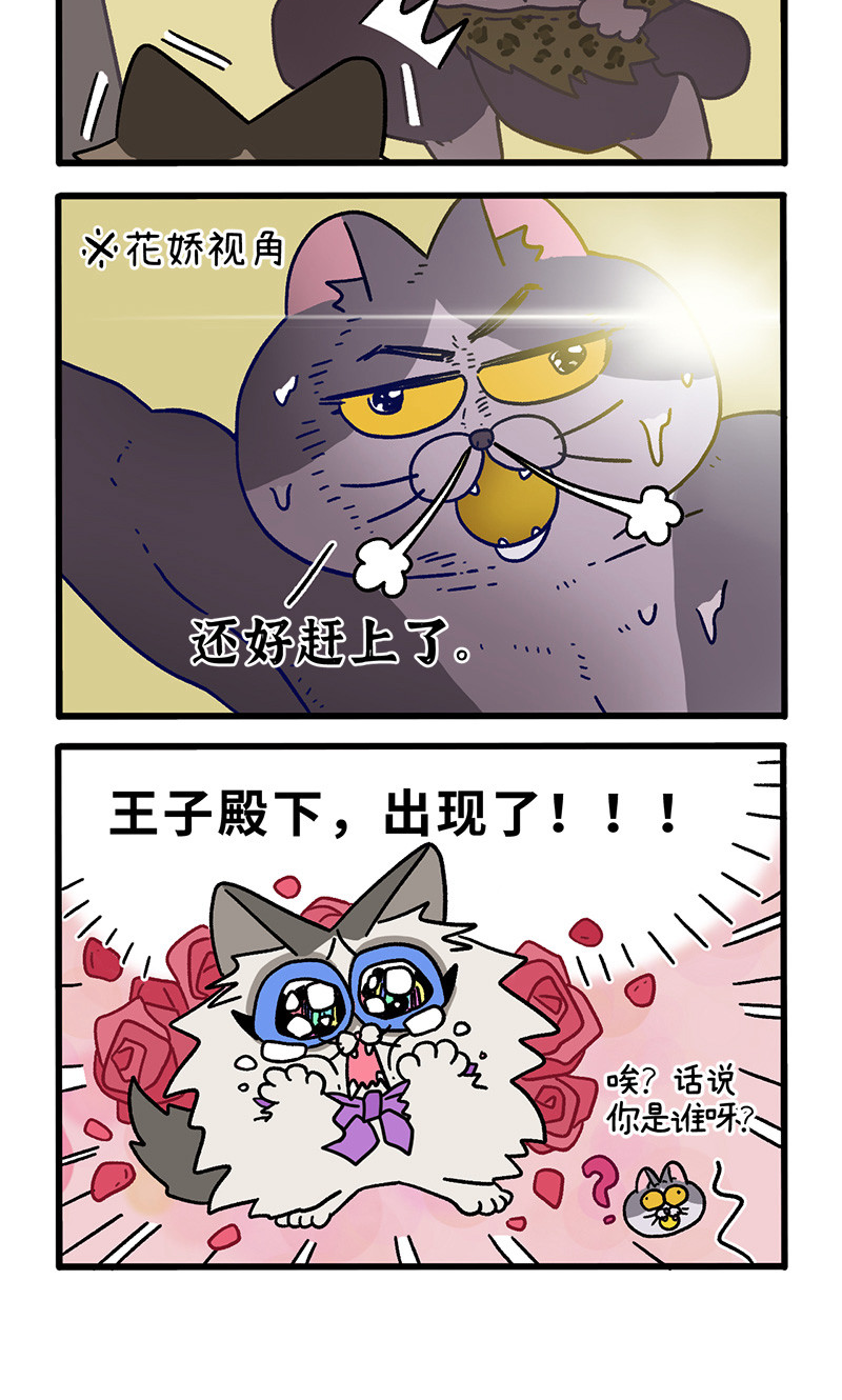 第100话1 从天而降的王子-第186话