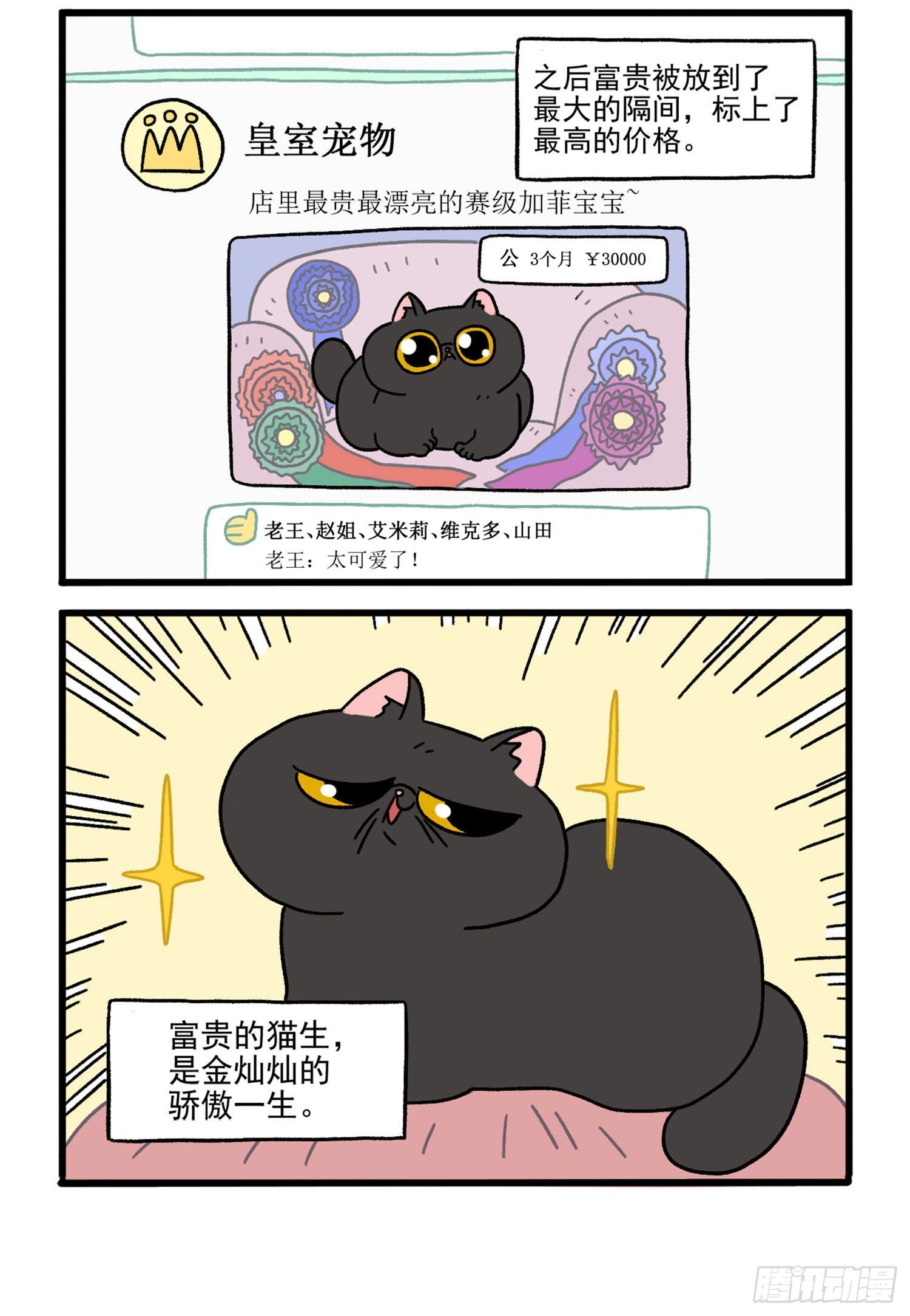 第15话 王富贵-第20话