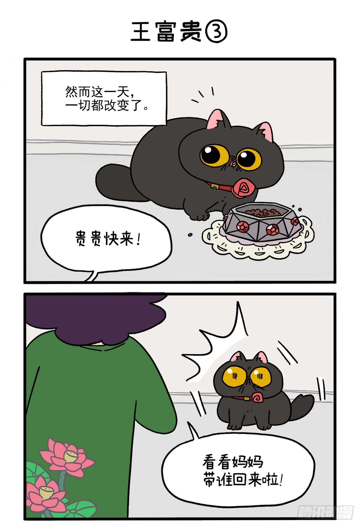第15话 王富贵-第20话