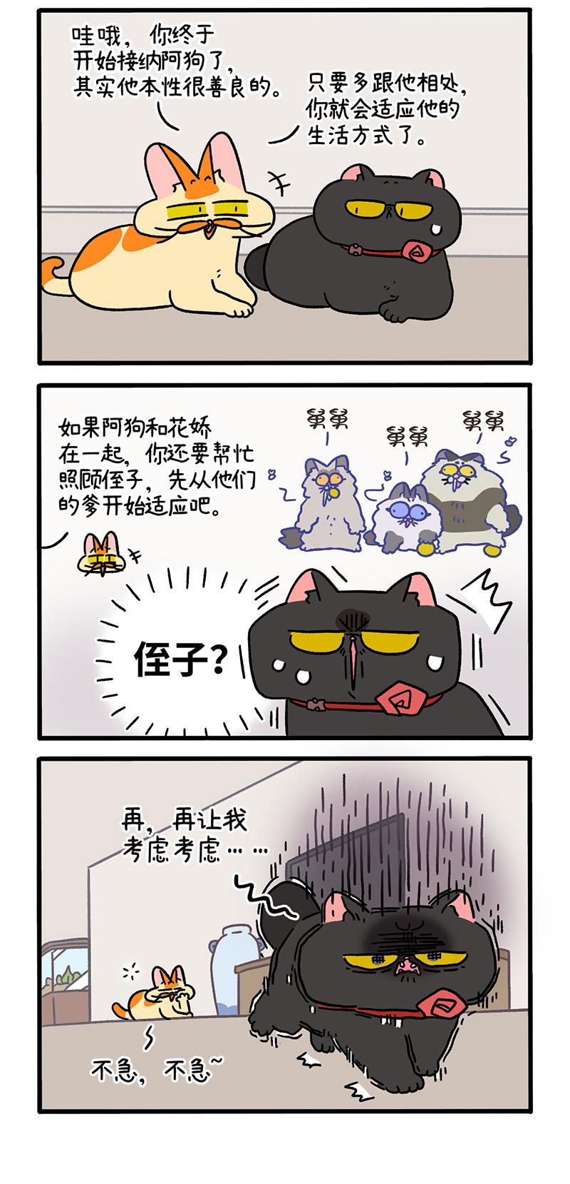 第104话1 哥哥的让步-第194话