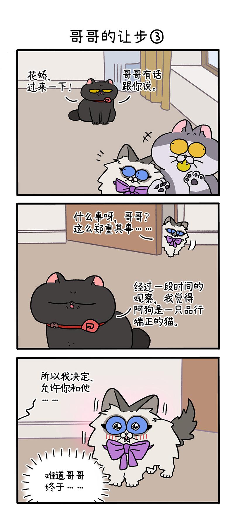 第104话1 哥哥的让步-第194话