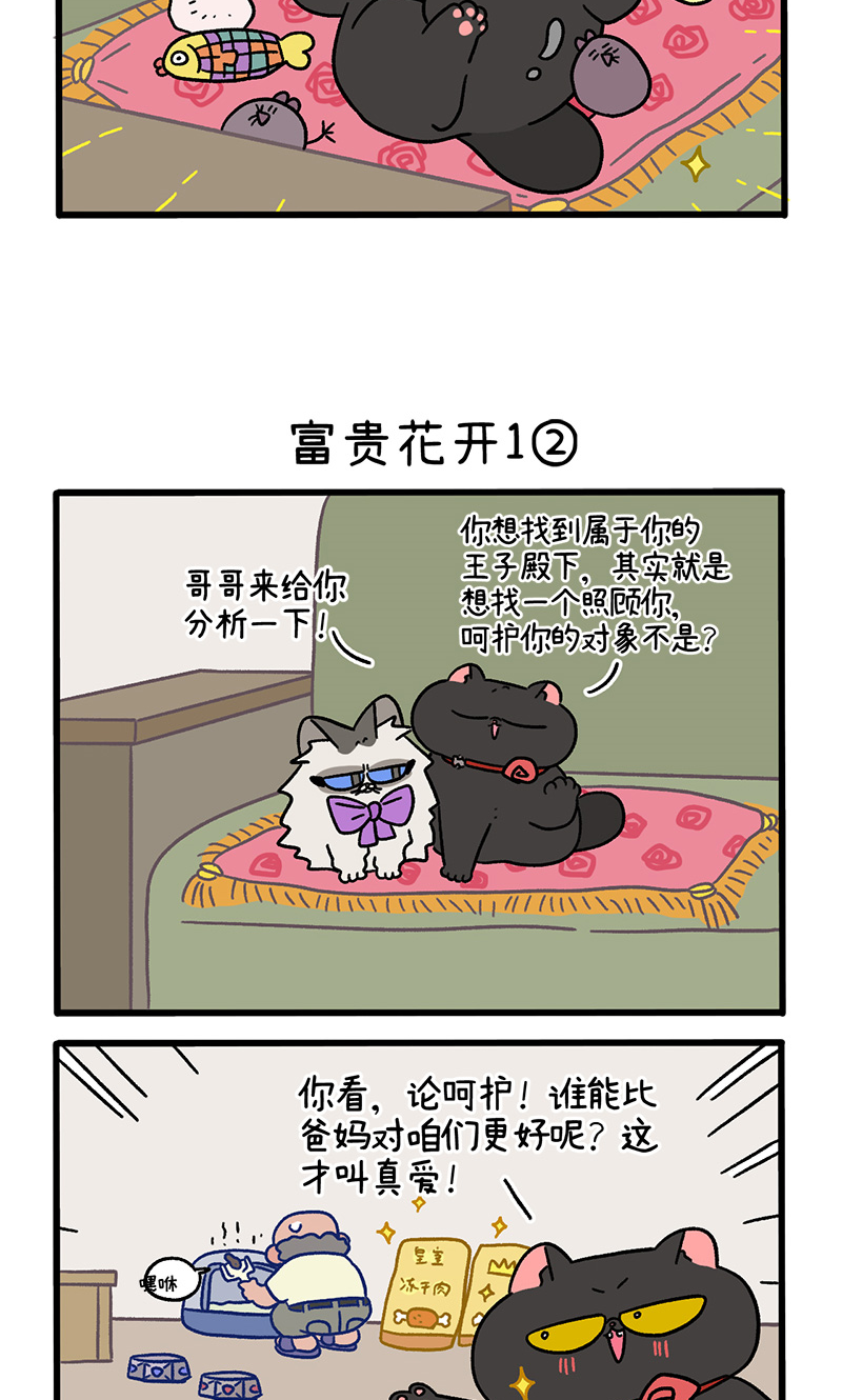番外21上 富贵花开1-第210话