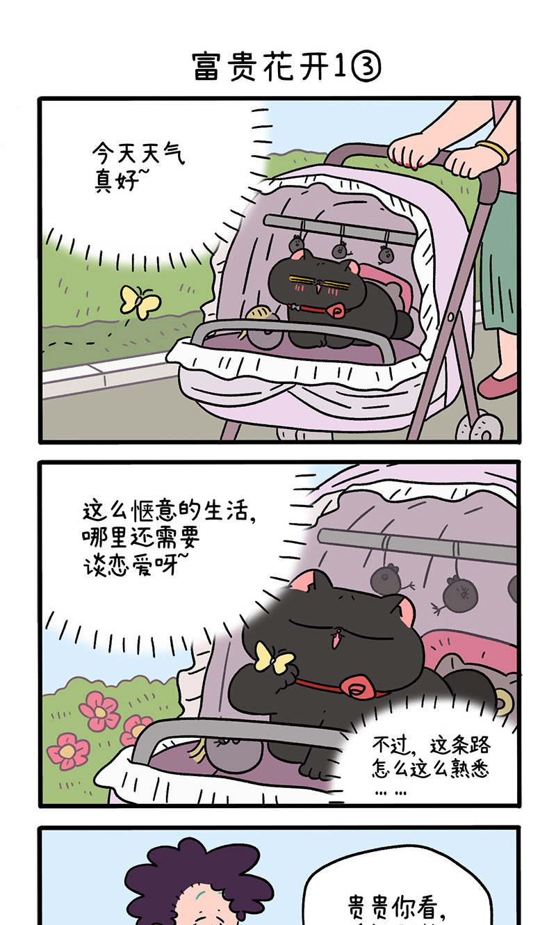 番外21上 富贵花开1-第210话