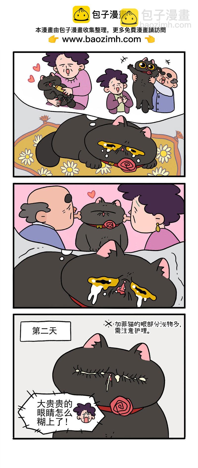 第16话2 住院的理由-第22话