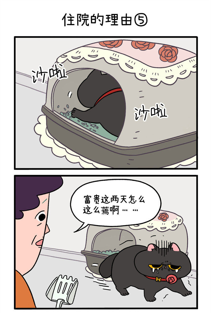 第16话2 住院的理由-第22话