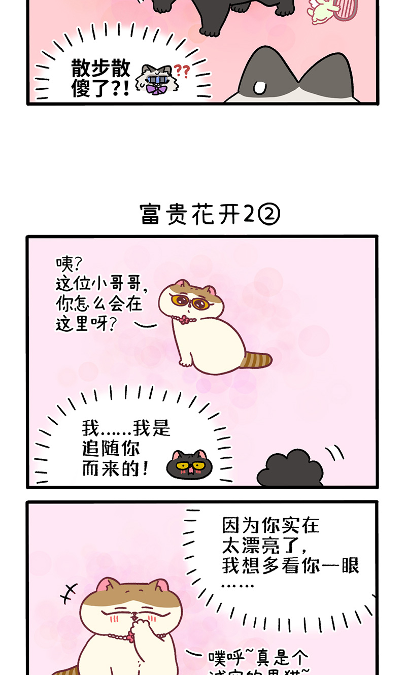 番外22上 富贵花开2-第212话