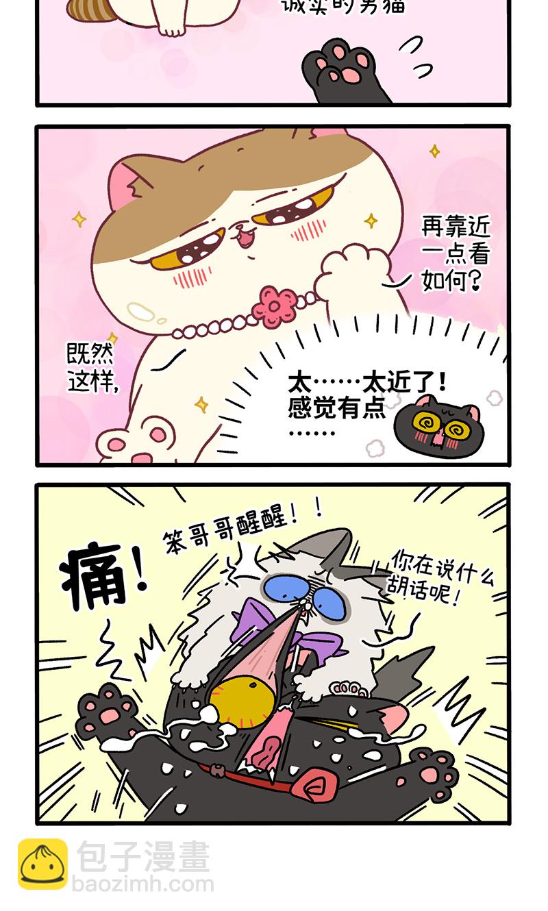 番外22上 富贵花开2-第212话