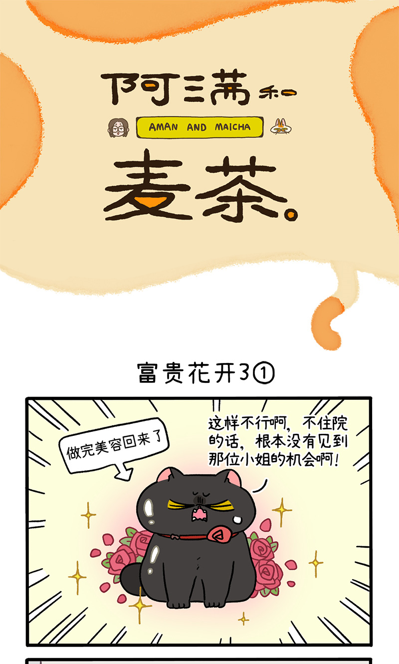 番外23上 富贵花开3-第214话
