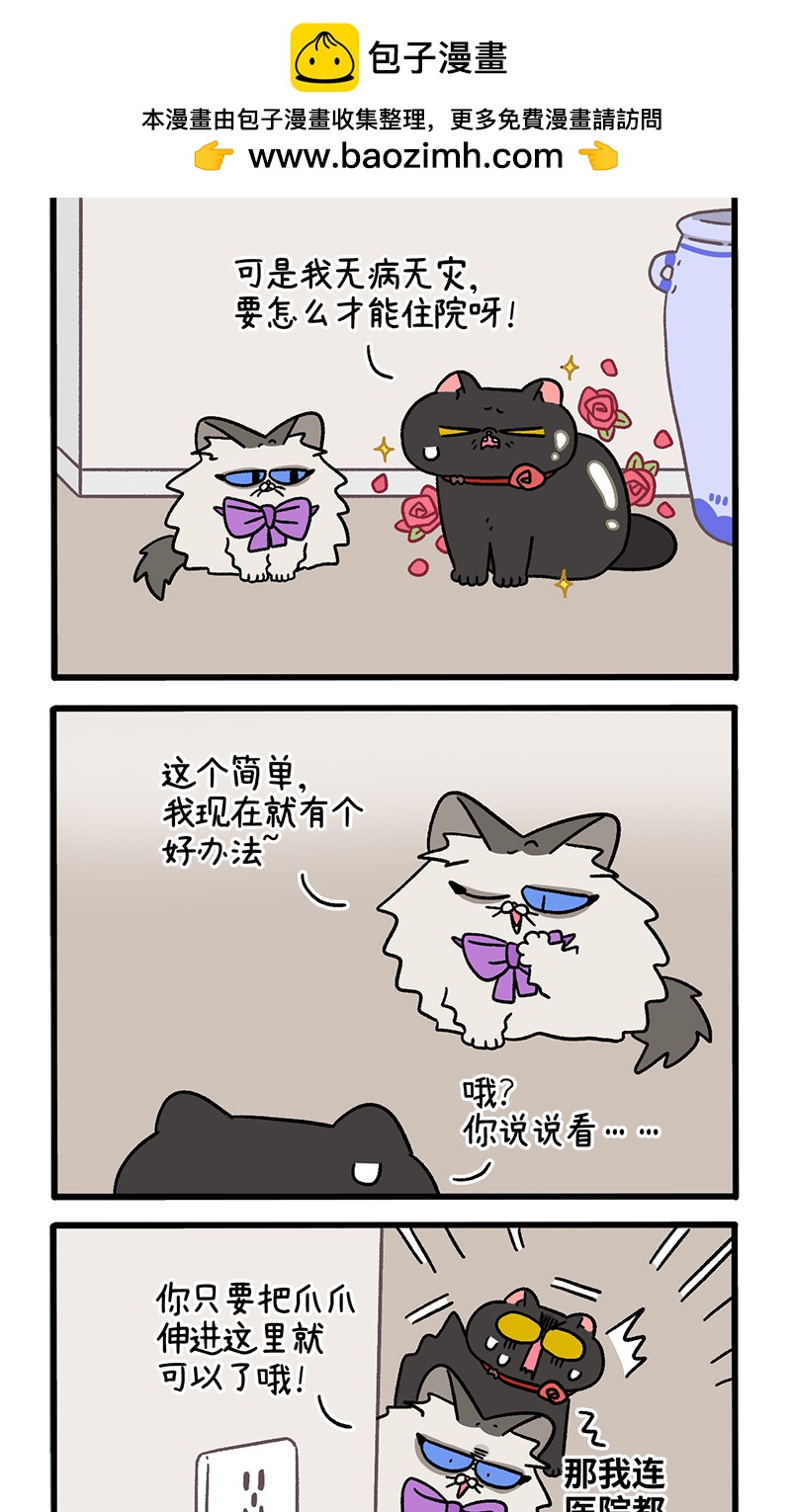 番外23上 富贵花开3-第214话