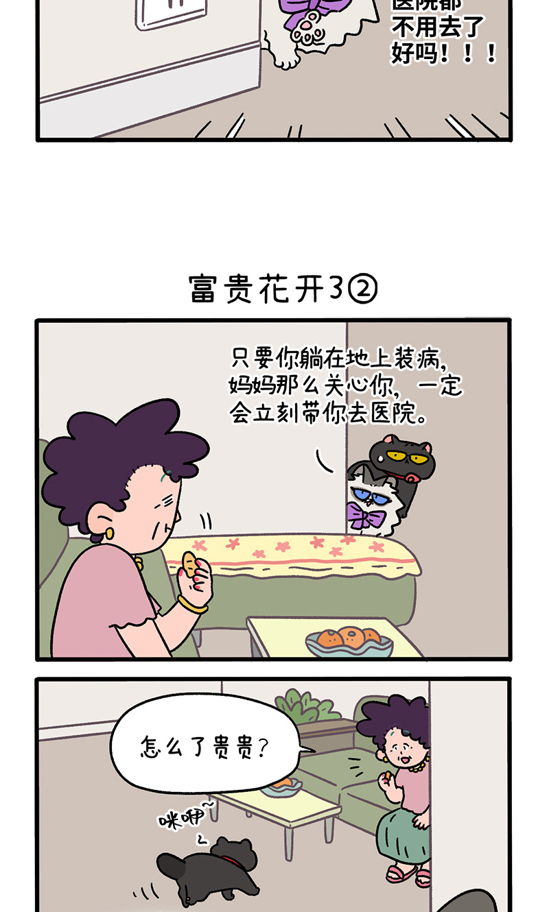 番外23上 富贵花开3-第214话