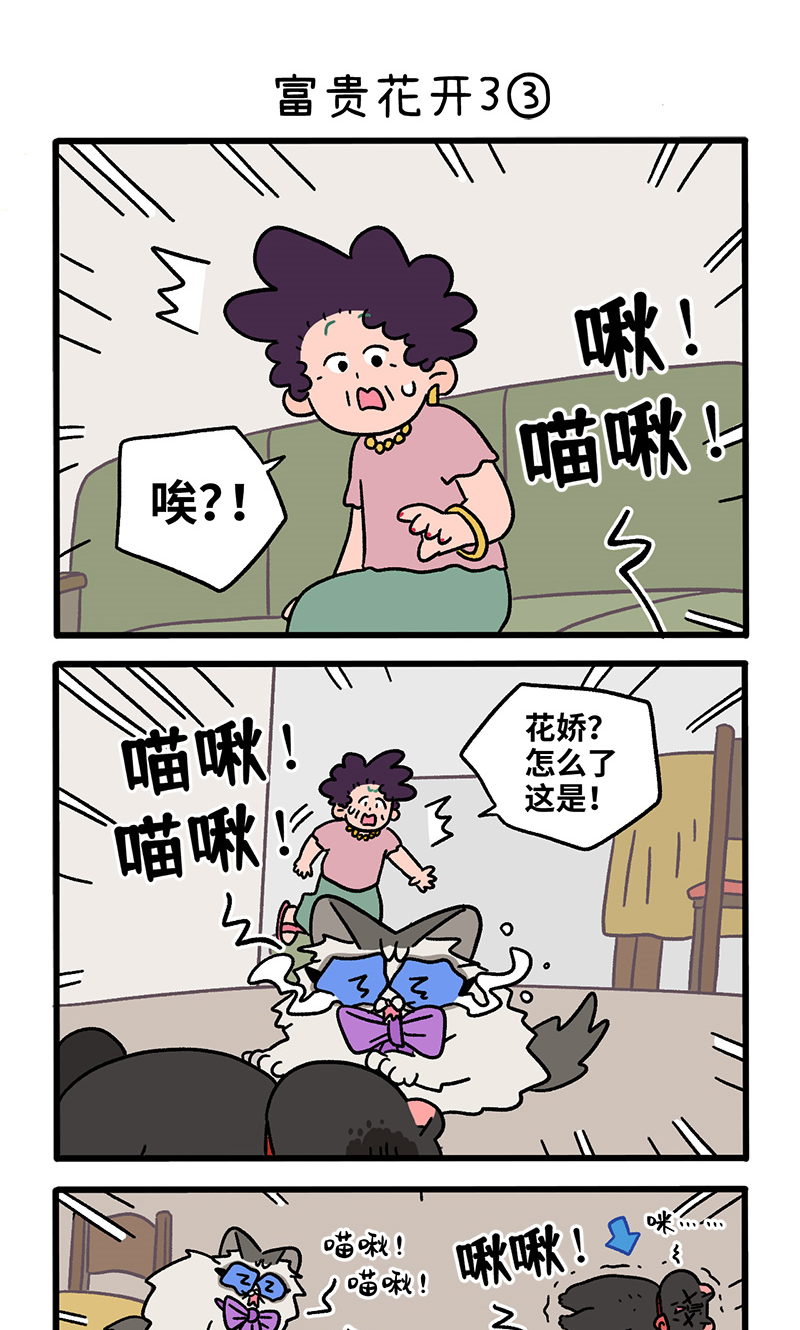 番外23上 富贵花开3-第214话