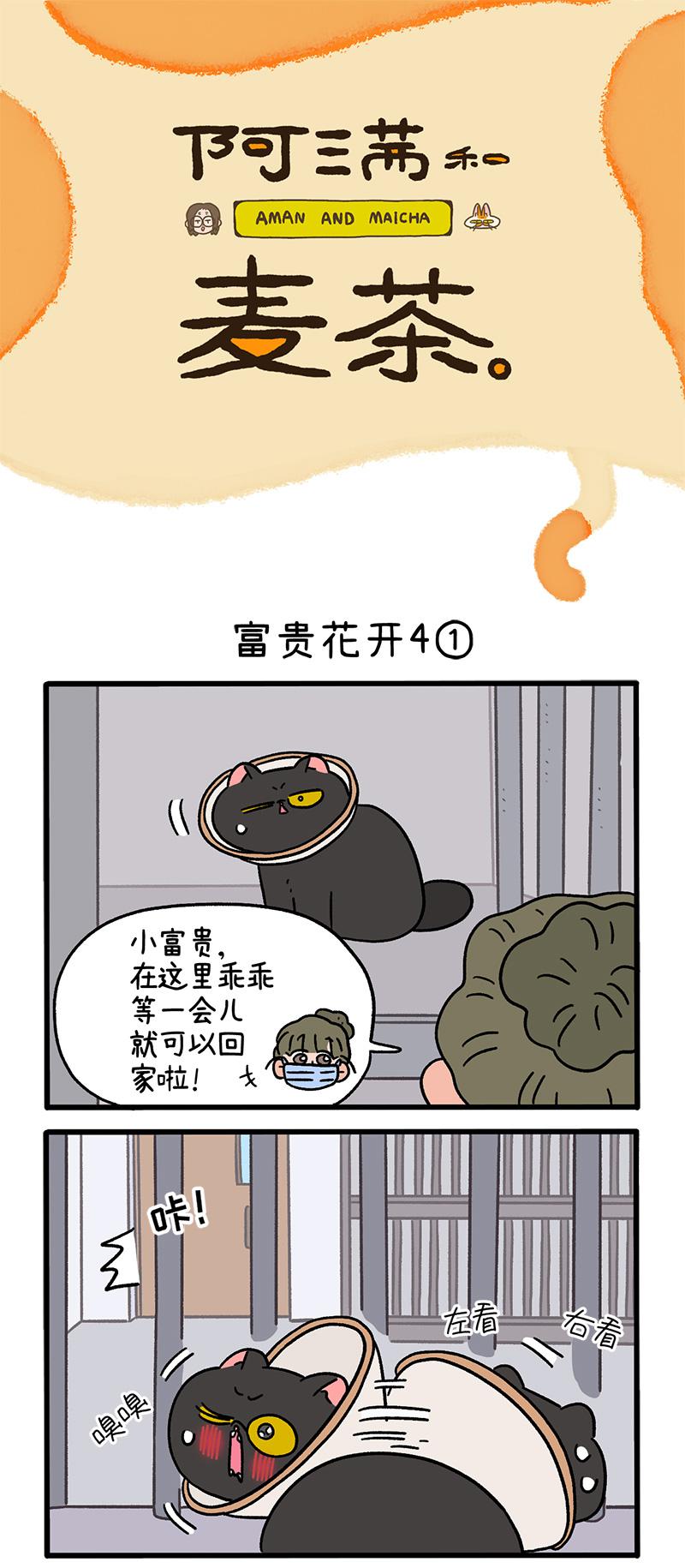 番外24上 富贵花开4-第216话