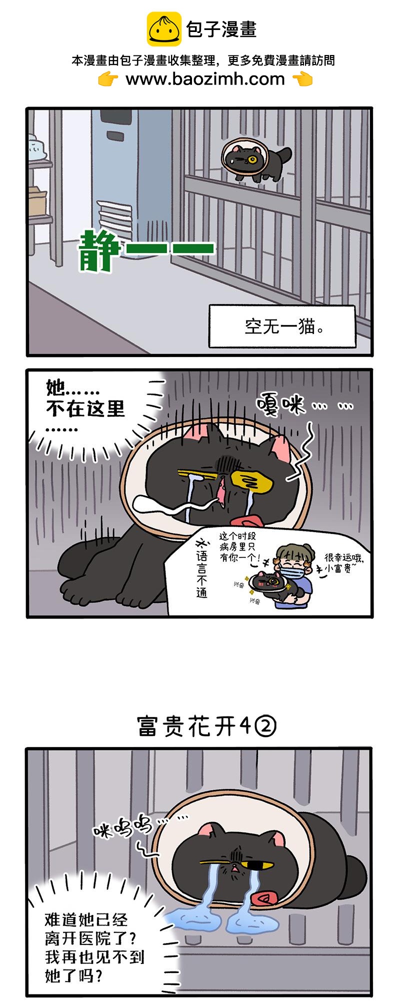 番外24上 富贵花开4-第216话
