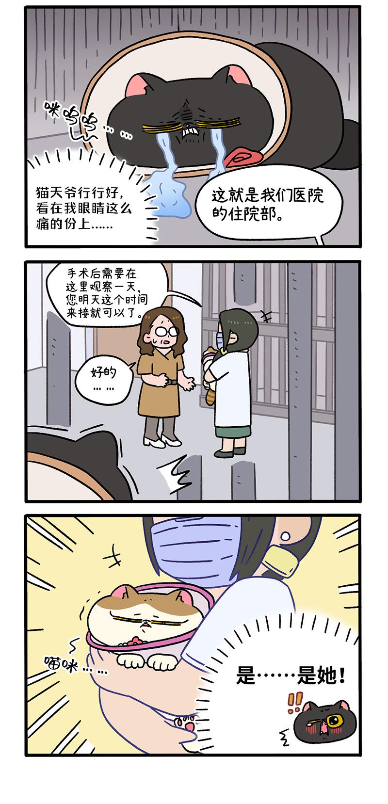 番外24上 富贵花开4-第216话