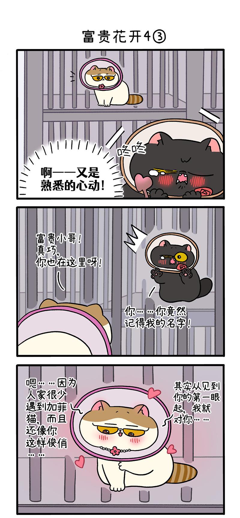 番外24上 富贵花开4-第216话