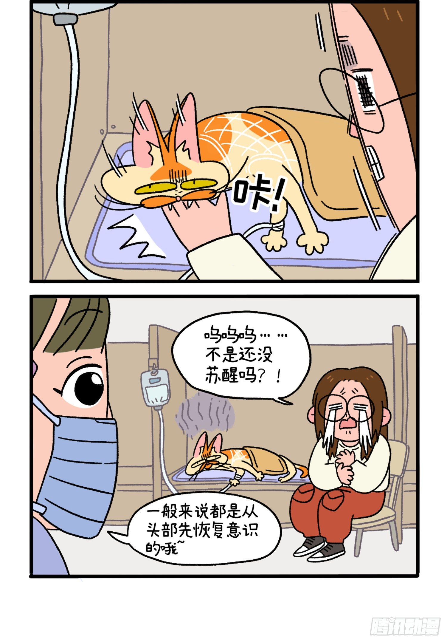 第17话 麻醉-第24话