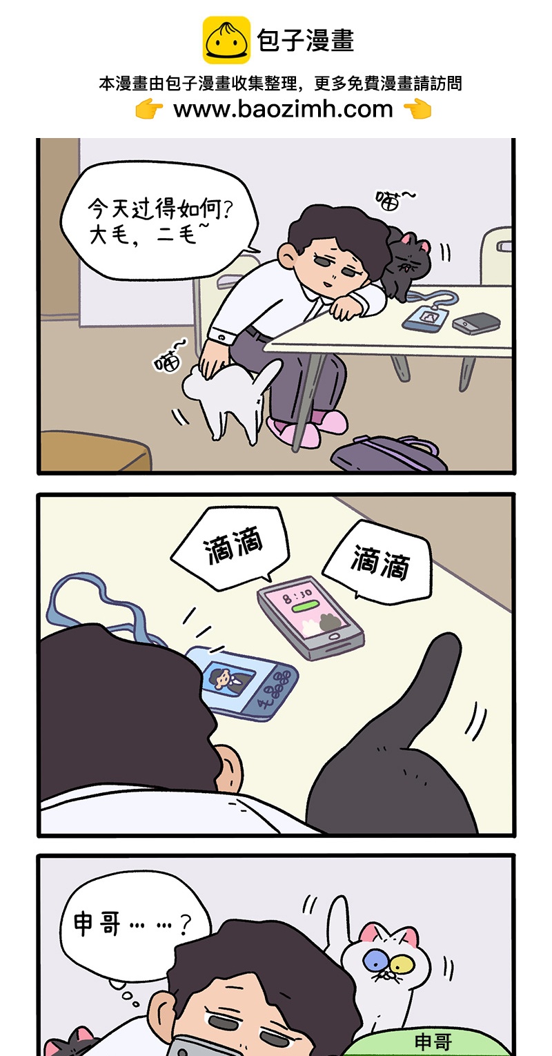 第117话1 猫晶晶疑云11-第224话