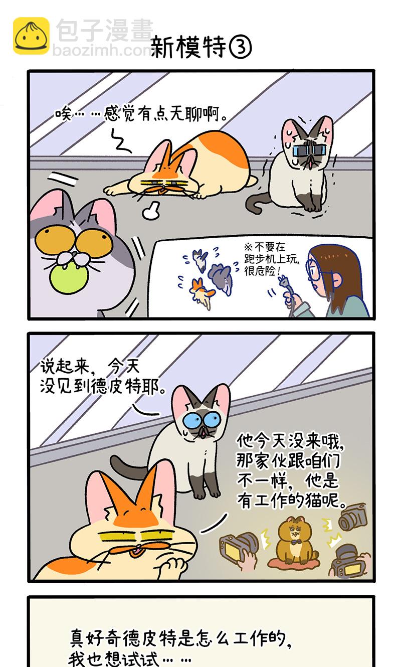 第121话1 新模特-第234话