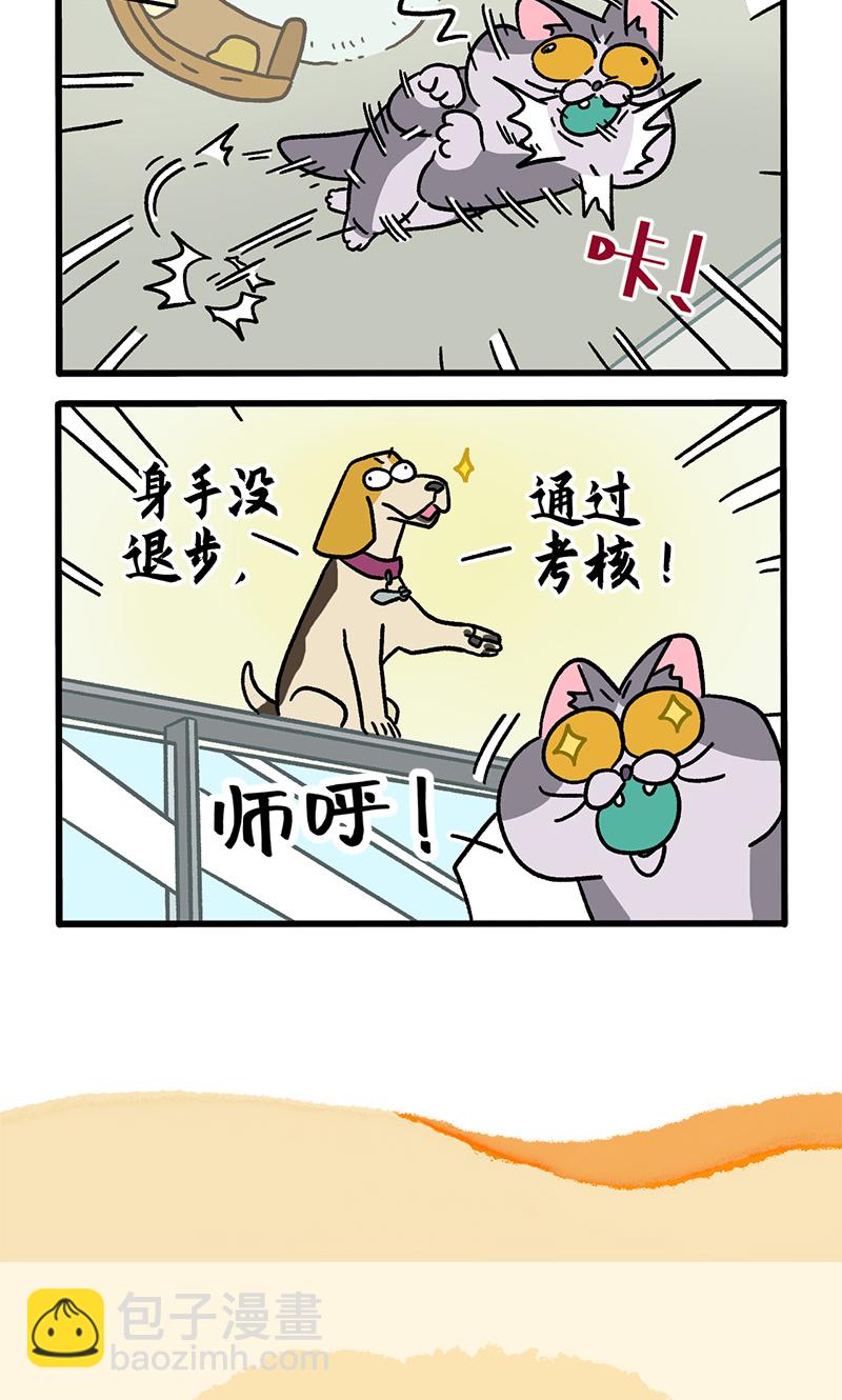 第124话1 师傅的坏消息-第240话