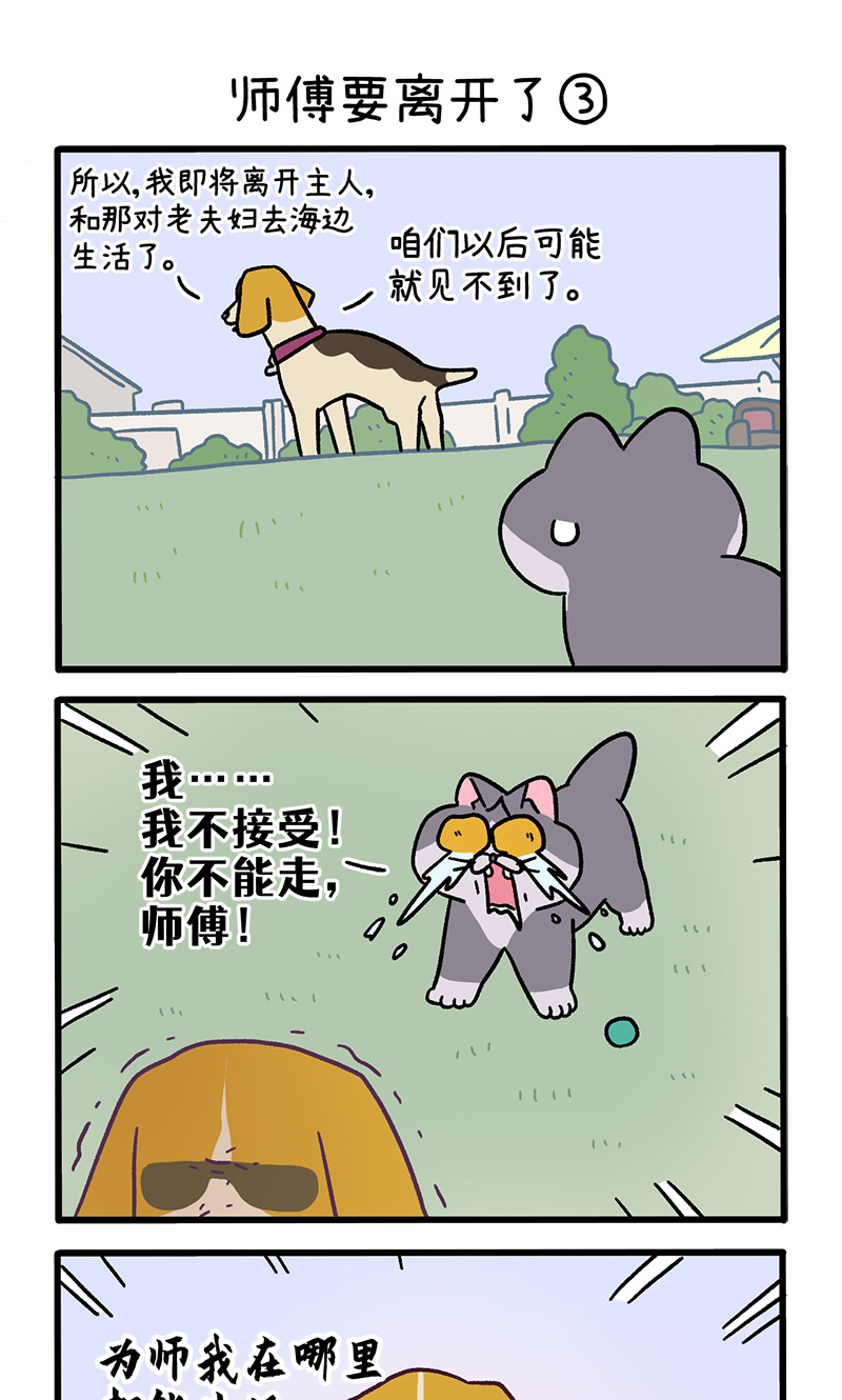 第125话1 师傅要离开了-第242话