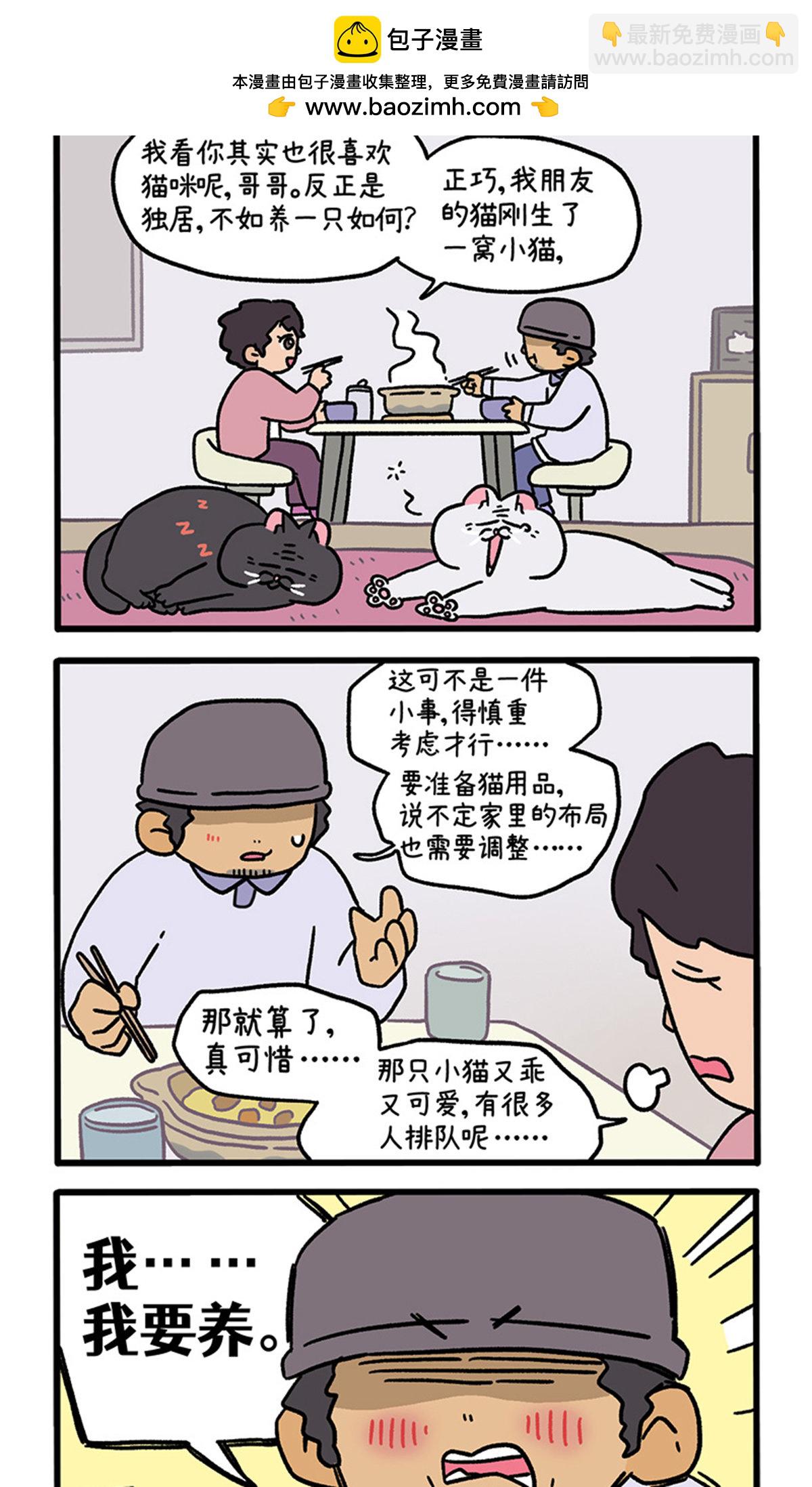 第126话1 关于毛哥是怎么有猫的-第244话