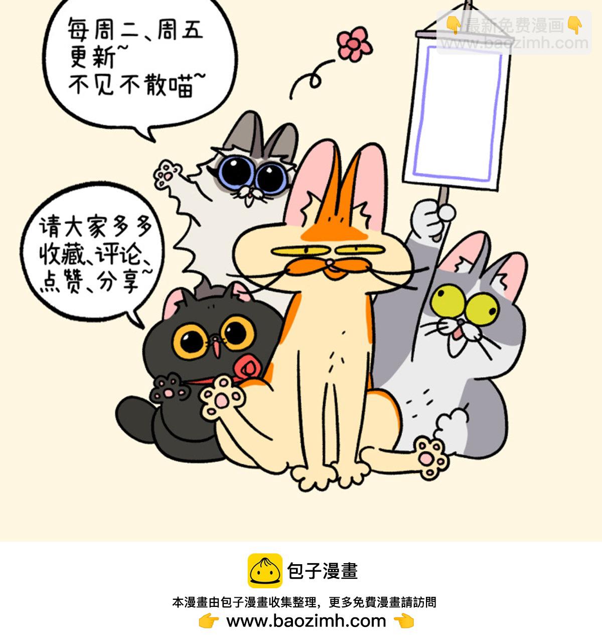 第126话1 关于毛哥是怎么有猫的-第244话
