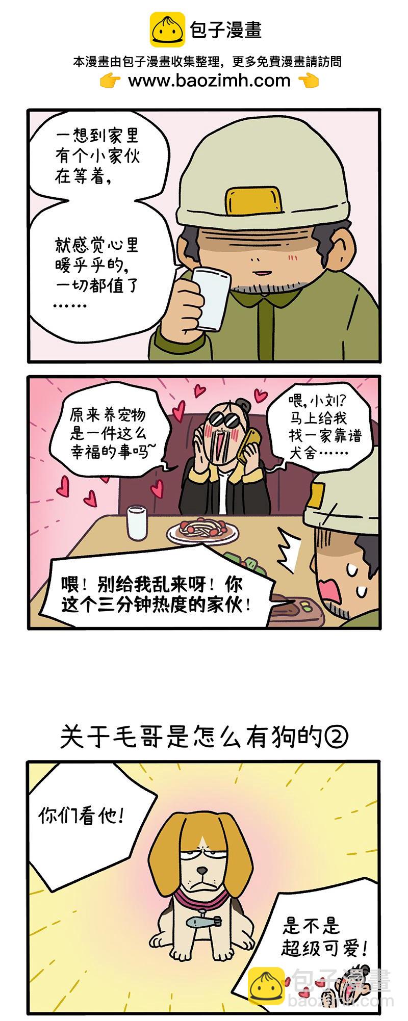 第127话1 关于毛哥是怎么有狗的-第246话