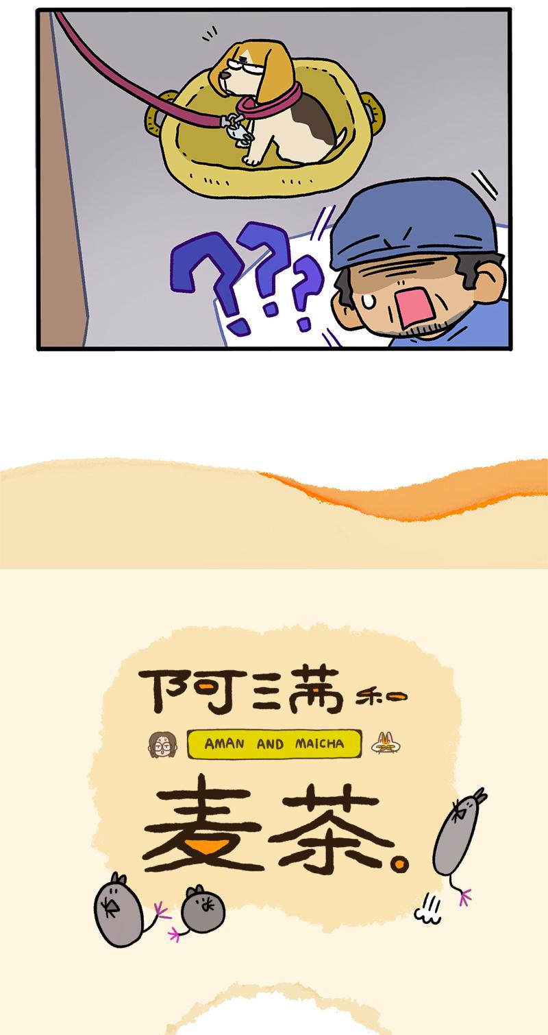 第127话1 关于毛哥是怎么有狗的-第246话
