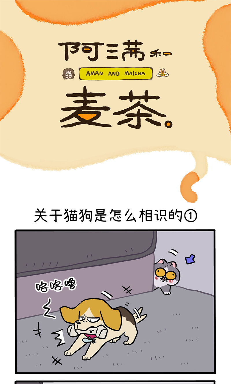 第128话1 关于猫狗是怎么相识的-第248话